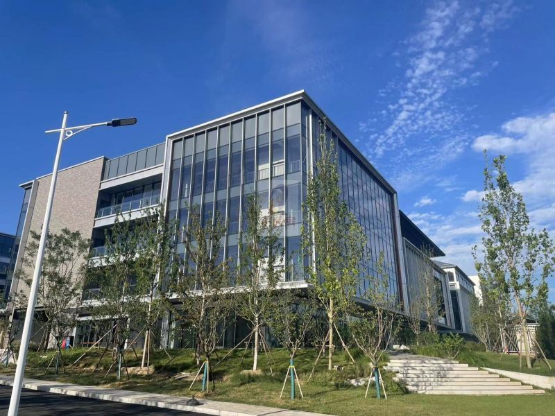 南海绿茵国际
