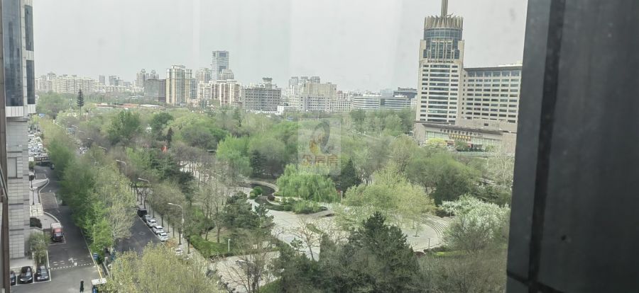 金澳国际大厦