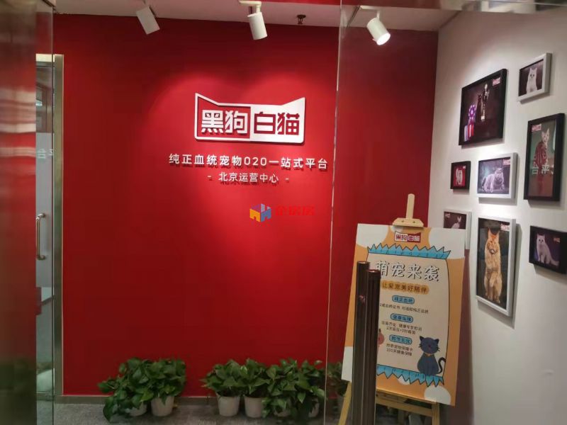 新成文化大厦