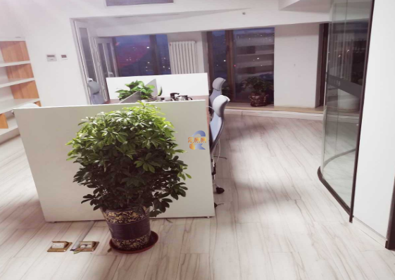 泰华龙旗广场 