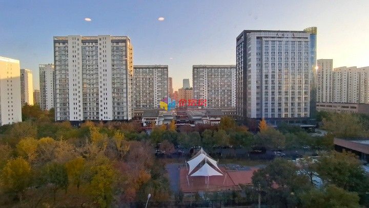 京华茶叶大世界
