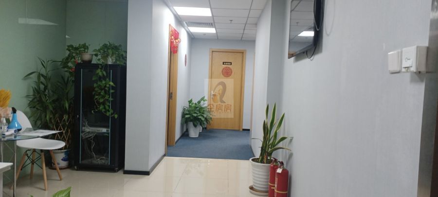 常营天阶星