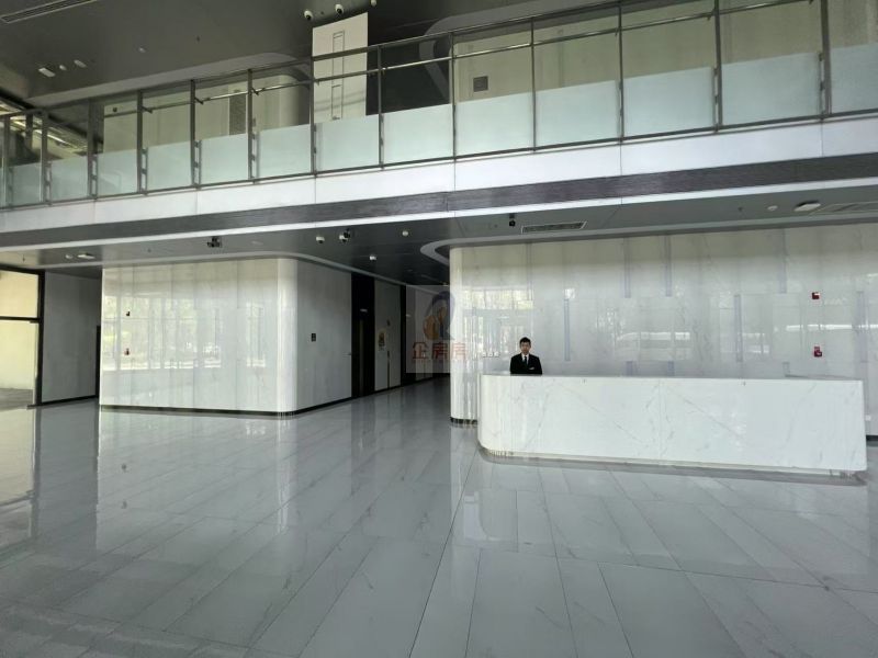 未来视界