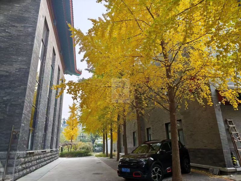 晋商博物馆