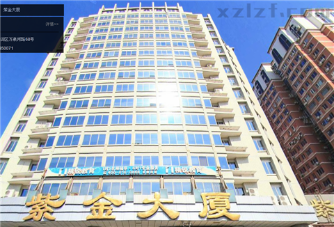 紫金大厦详情