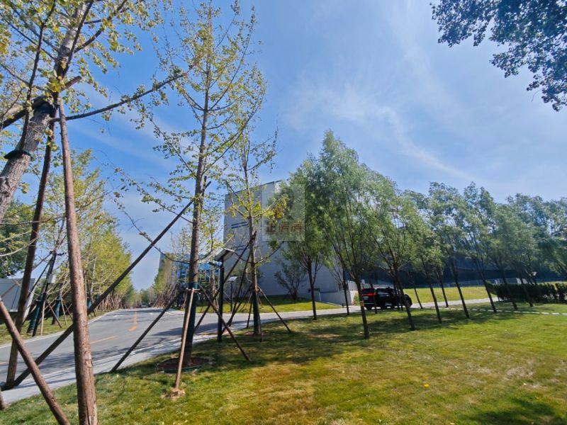 北京理工大学朝阳科技园